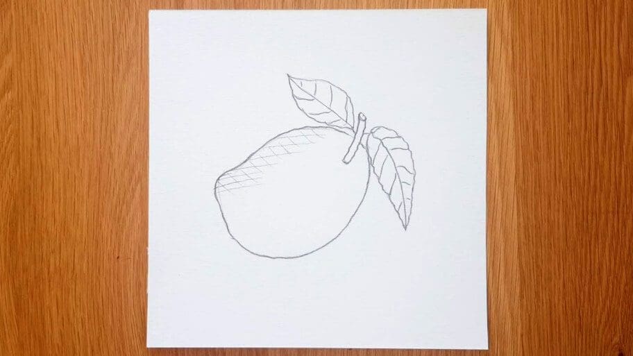 Mango Drawing