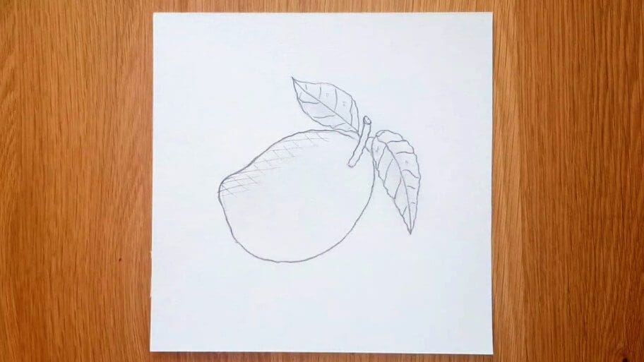 Mango Drawing