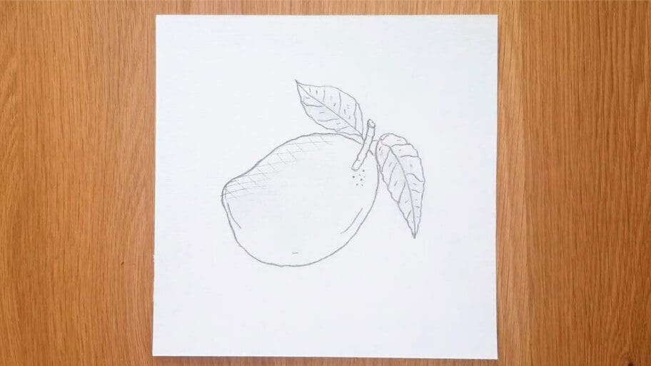Mango Drawing