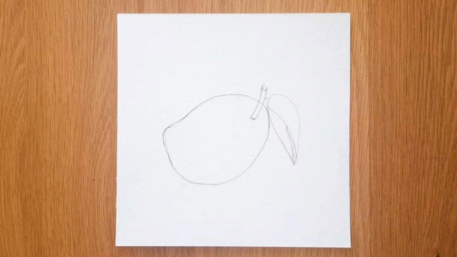 Mango Drawing