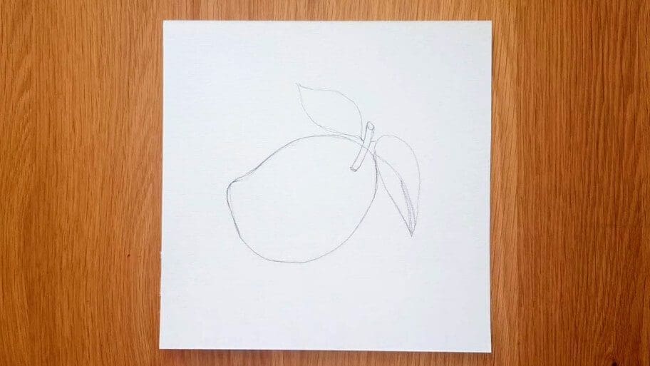 Mango Drawing