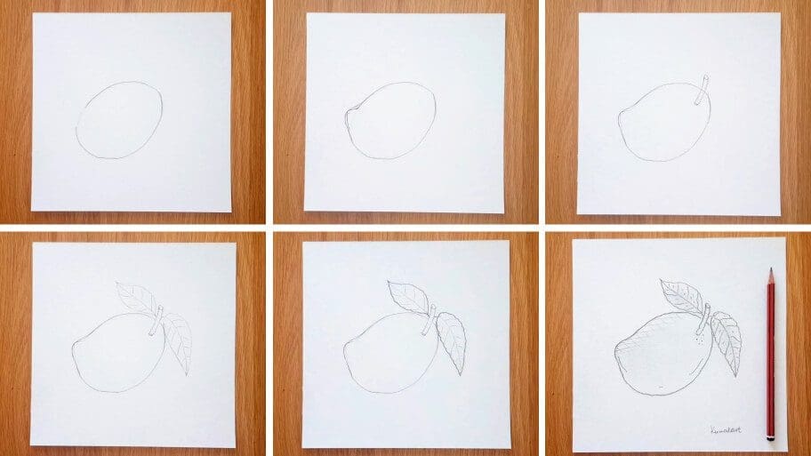 Mango Drawing
