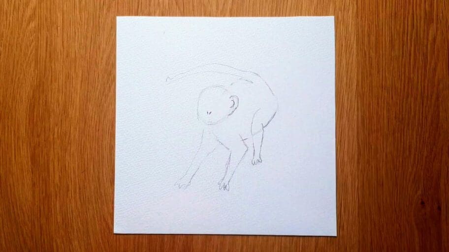 Monkey Drawing