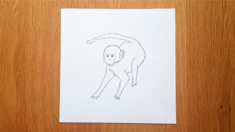 Monkey Drawing