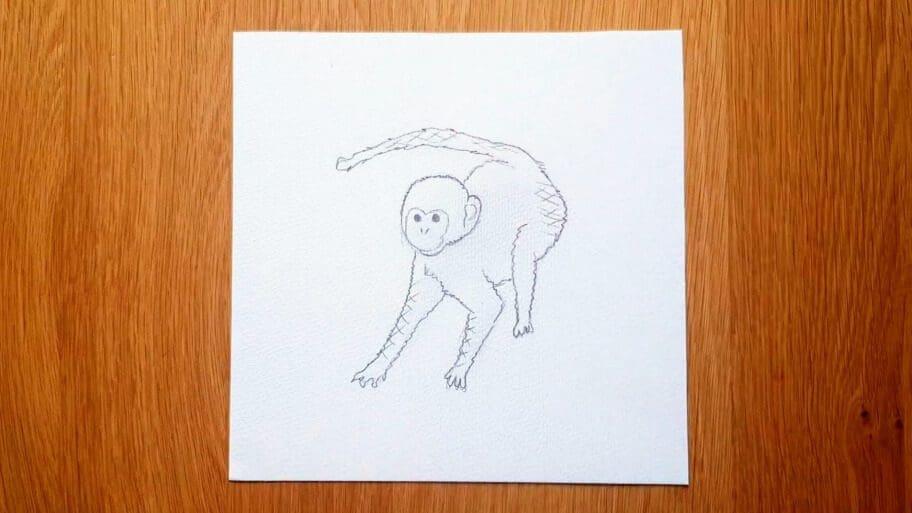 Monkey Drawing