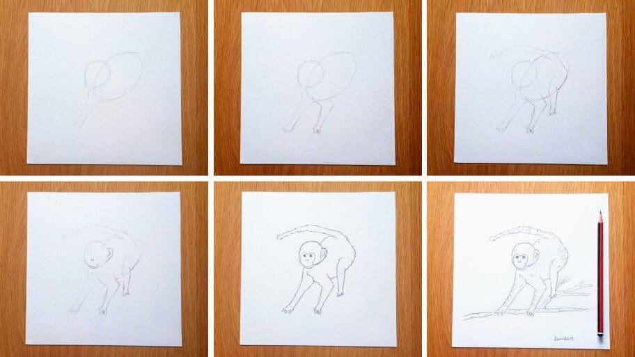 Monkey Drawing