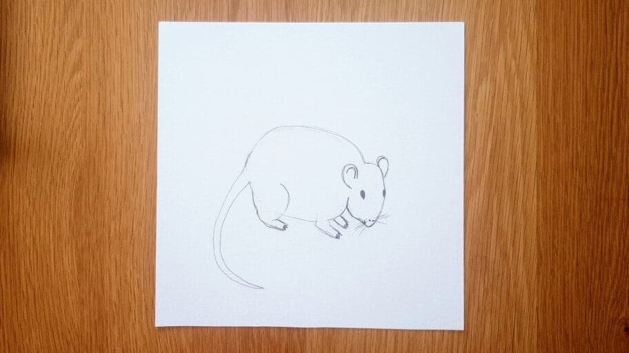 Mouse Drawing