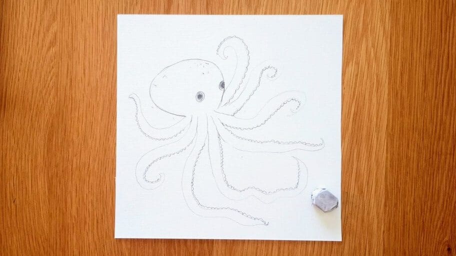 Octopus Drawing
