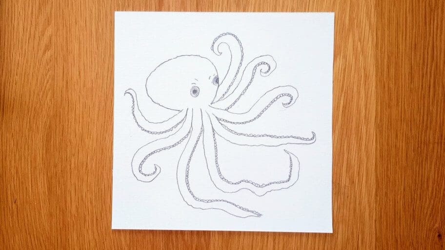 Octopus Drawing