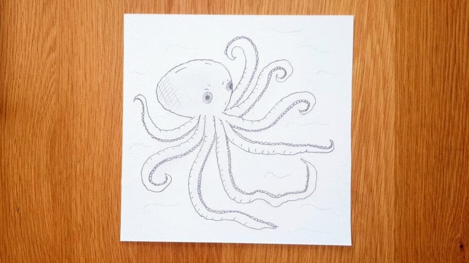 Octopus Drawing