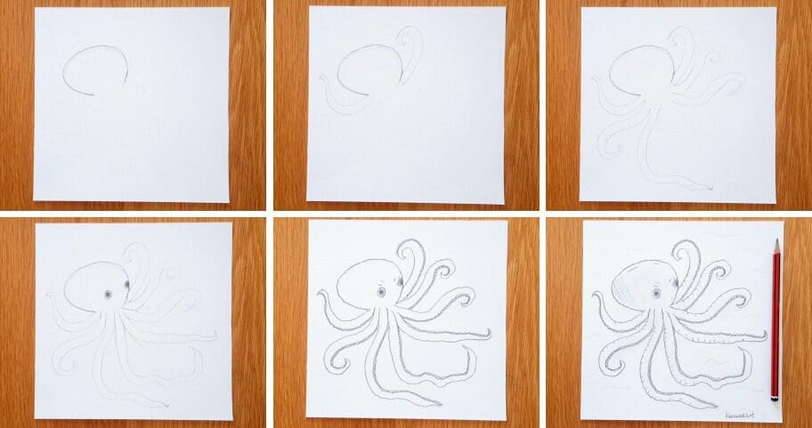 Octopus Drawing