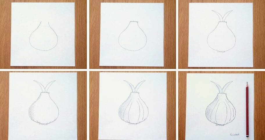 Onion_Drawing_Collage