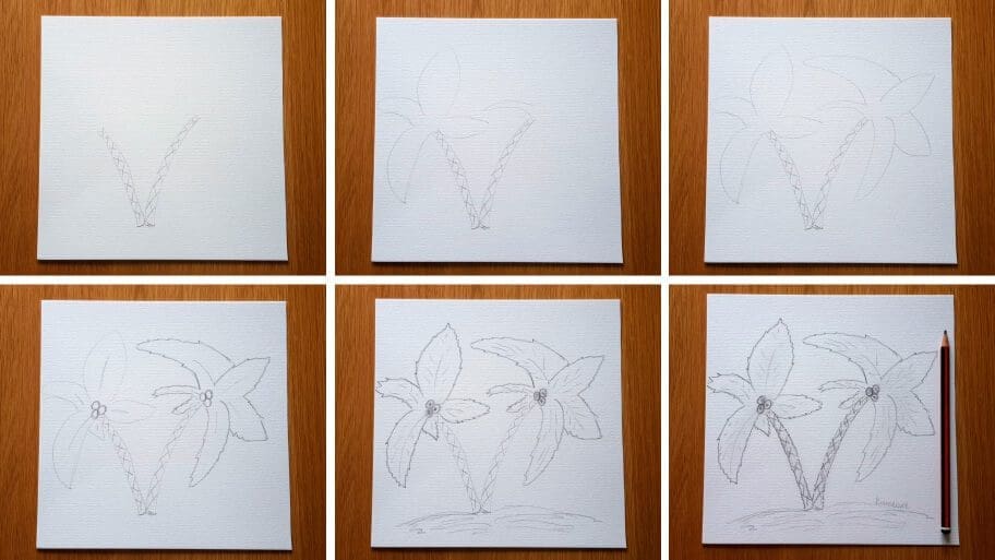 Palm Tree_Drawing_Collage