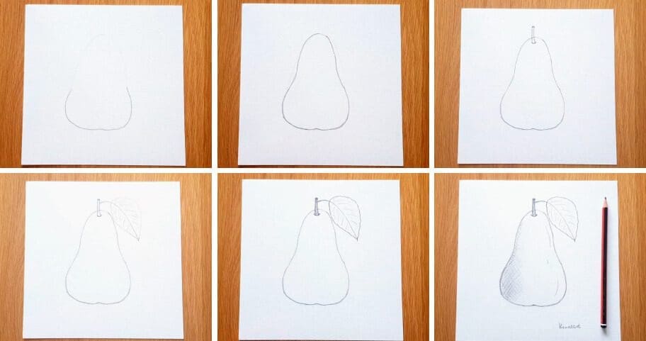 Pear_Drawing_Collage