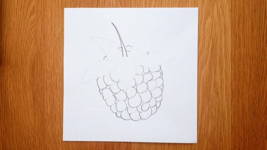 Raspberry Drawing Easy