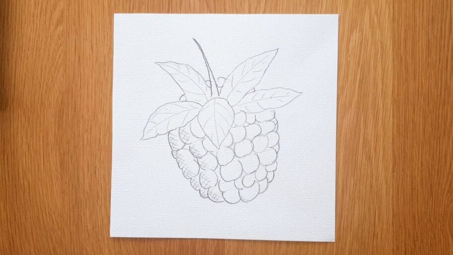Raspberry Drawing Easy