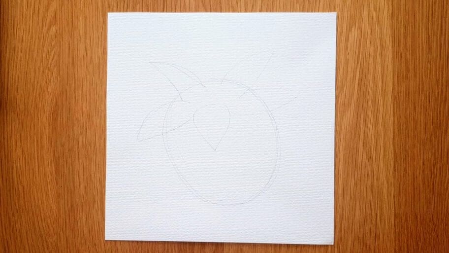 Raspberry Drawing Easy