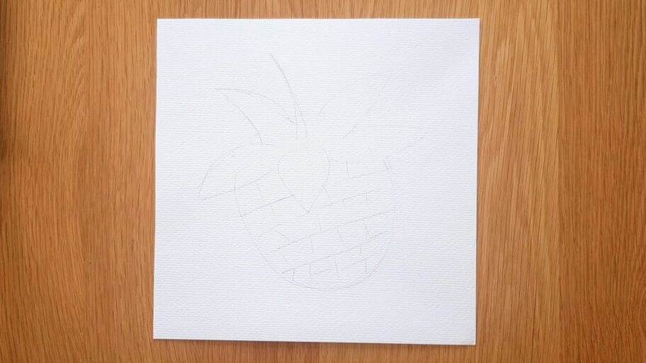 Raspberry Drawing Easy