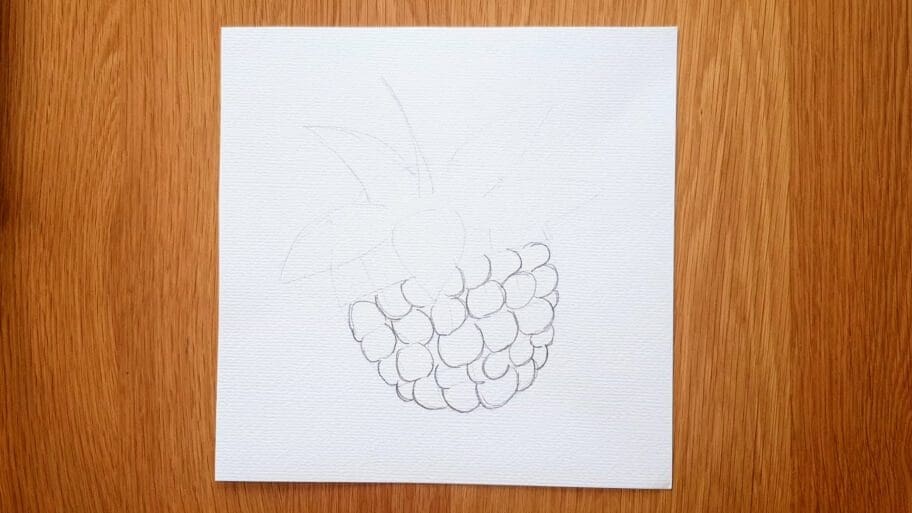 Raspberry Drawing Easy