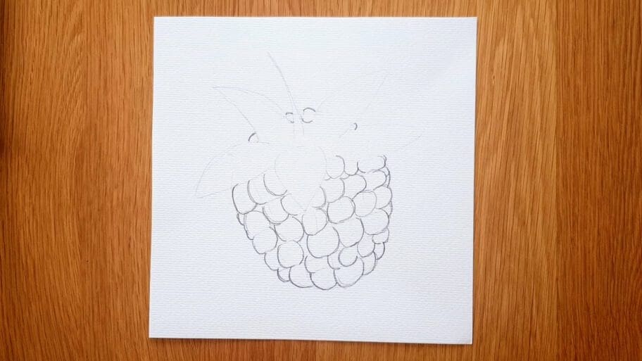 Raspberry Drawing Easy