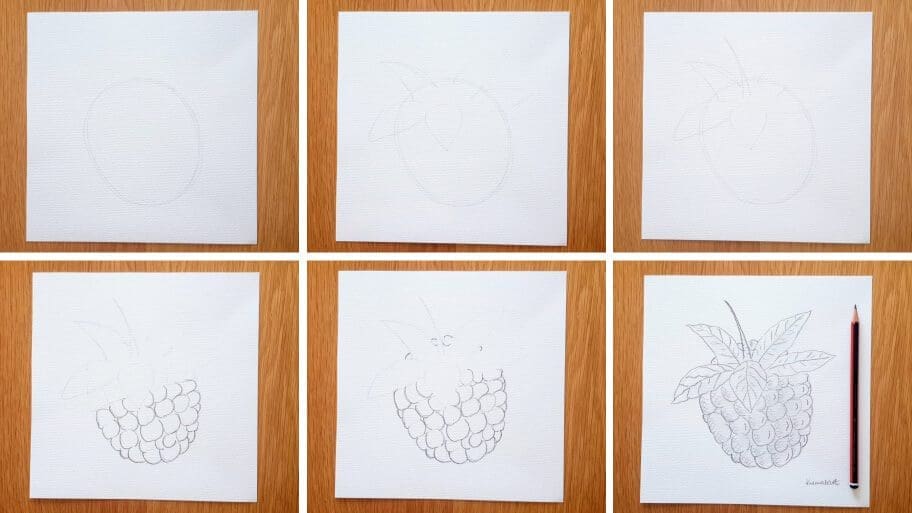 Raspberry Drawing Easy