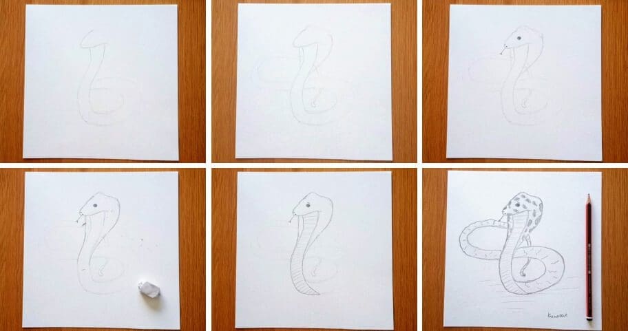 Snake_Drawing_Collage