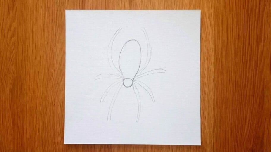 Spider Drawing