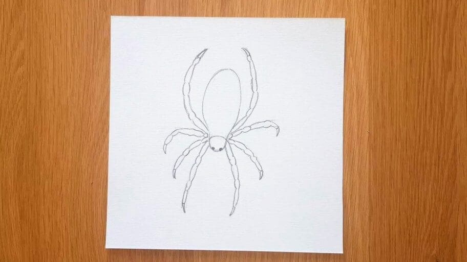 Spider Drawing