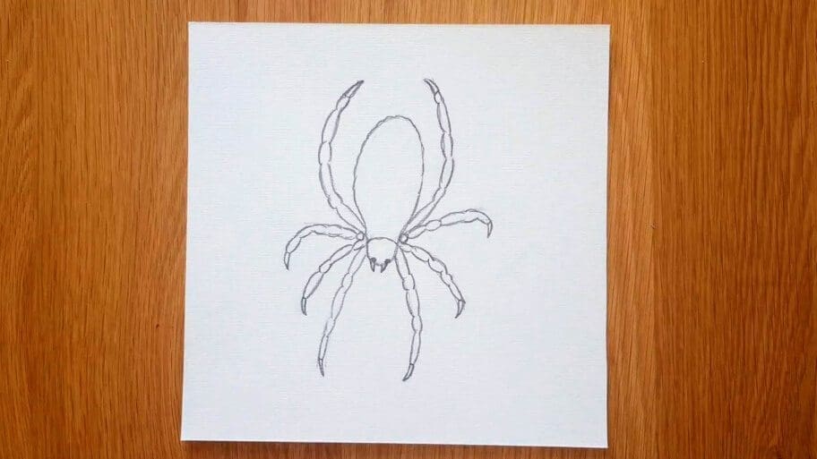 Spider Drawing