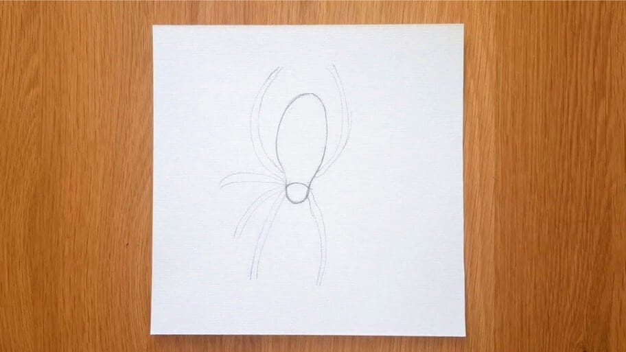 Spider Drawing