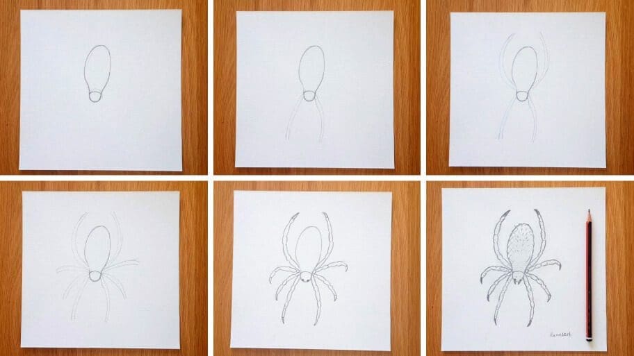 Spider Drawing