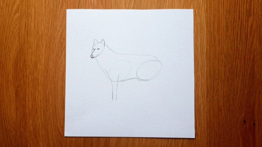 Wolf Drawing