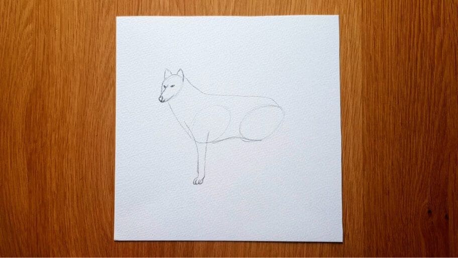 Wolf Drawing