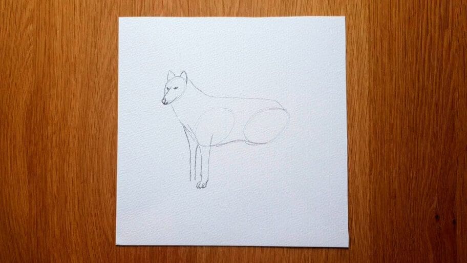 Wolf Drawing