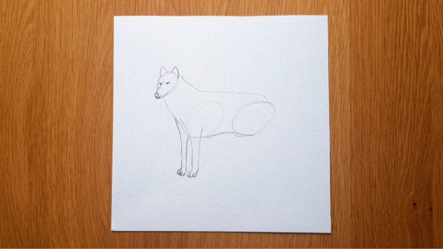 Wolf Drawing