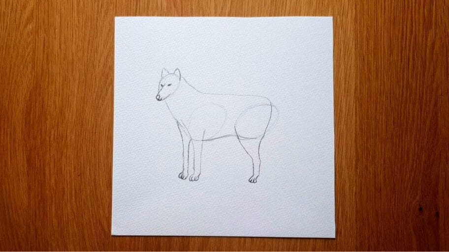Wolf Drawing