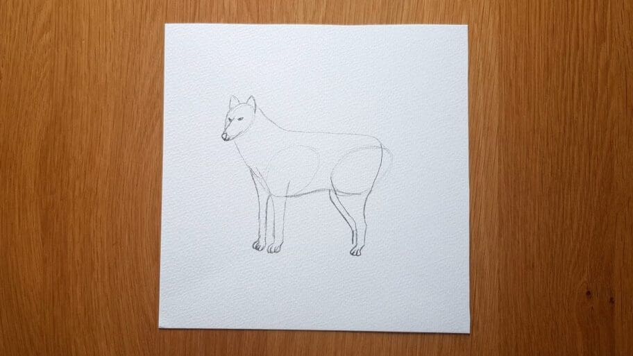 Wolf Drawing