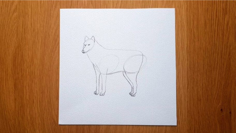 Wolf Drawing