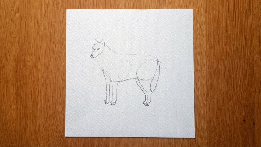 Wolf Drawing