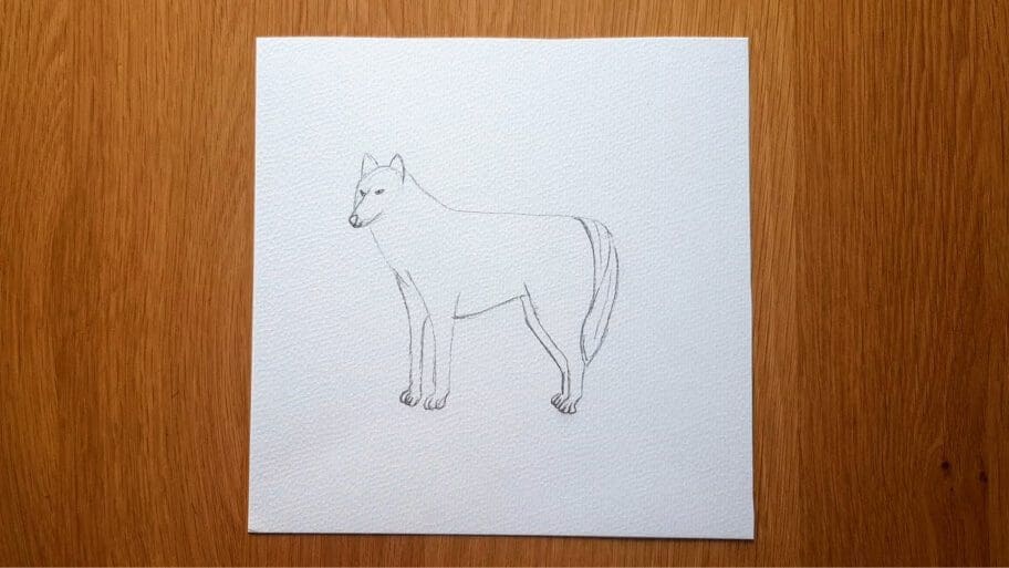 Wolf Drawing