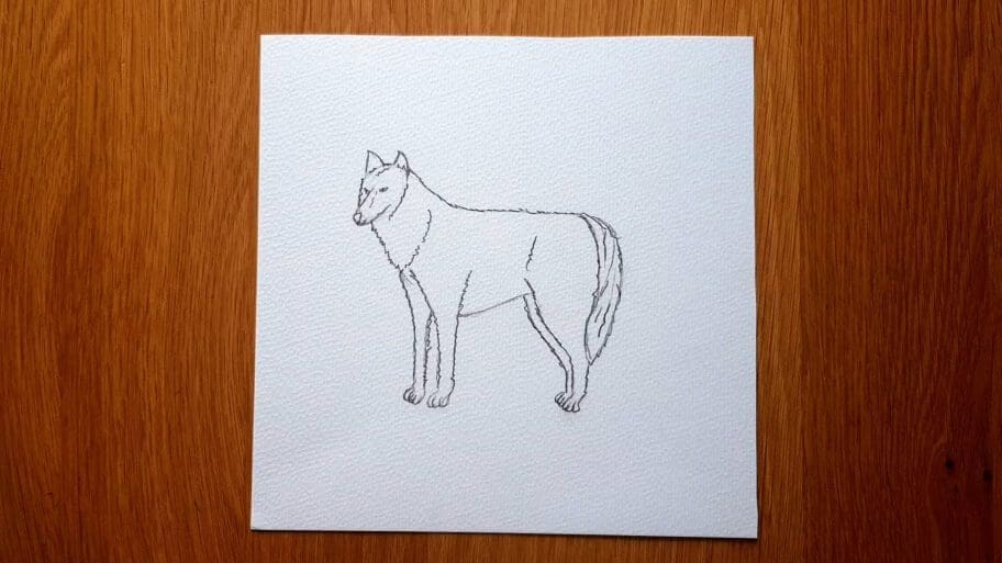Wolf Drawing