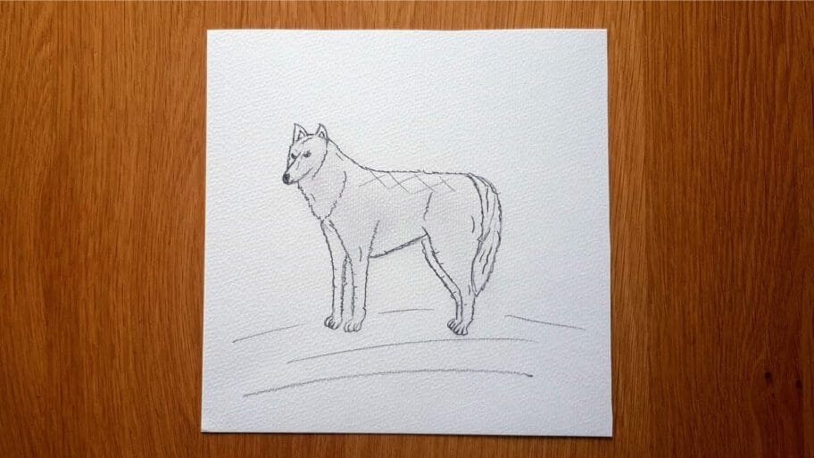 Wolf Drawing